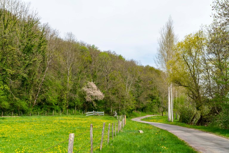 David BeckArboisDSC04280