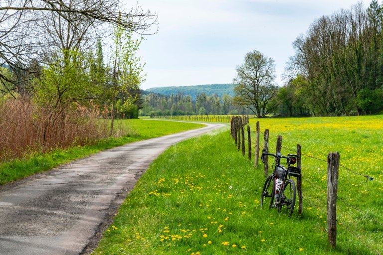 David BeckArboisDSC04281