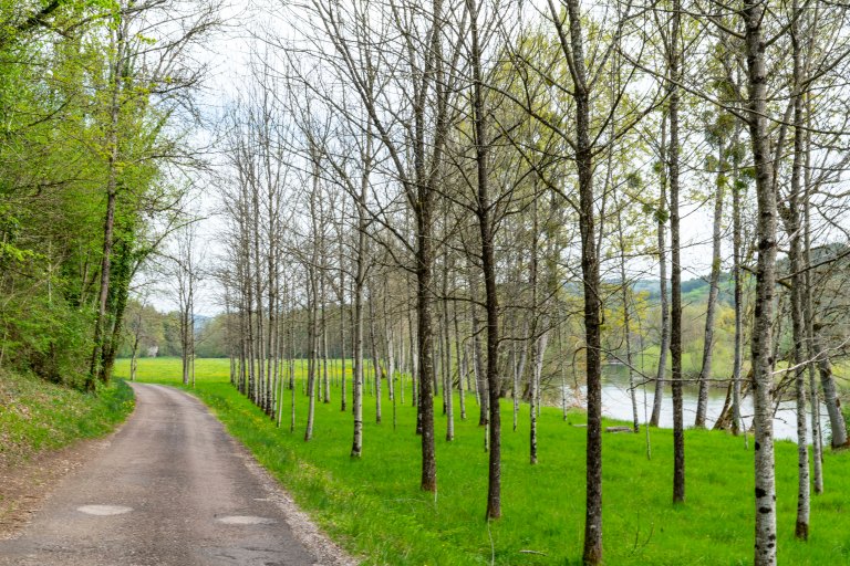 David BeckArboisDSC04293