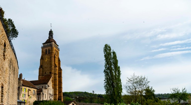 David BeckArboisDSC04322