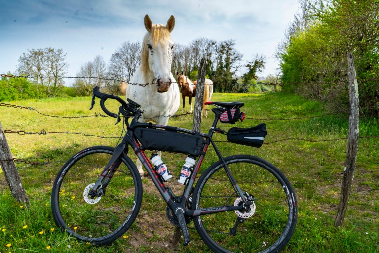 David BeckArboisDSC04358