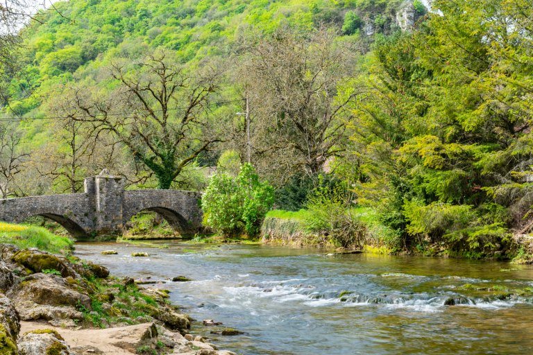 David BeckArboisDSC04370