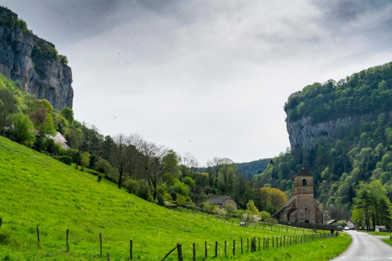 David BeckArboisDSC04372