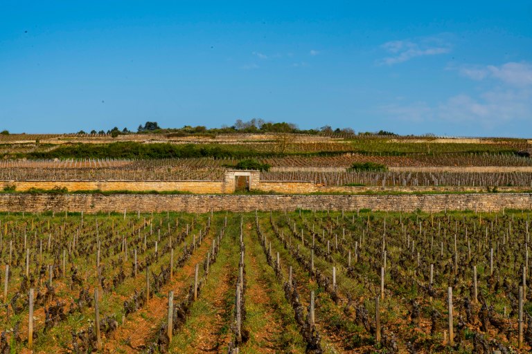 David BeckBeauneDSC04024