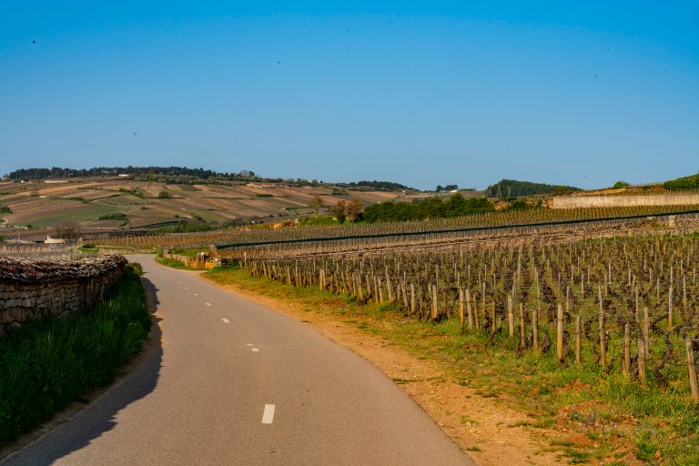 David BeckBeauneDSC04028