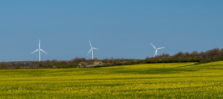 David BeckBeauneDSC04041