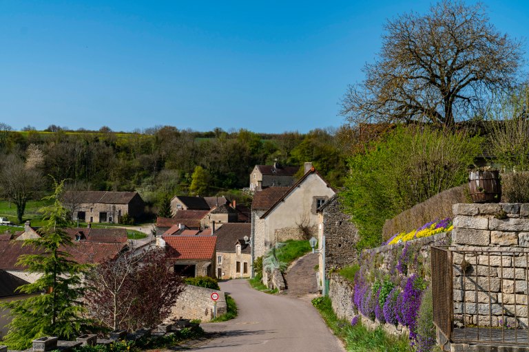 David BeckBeauneDSC04063