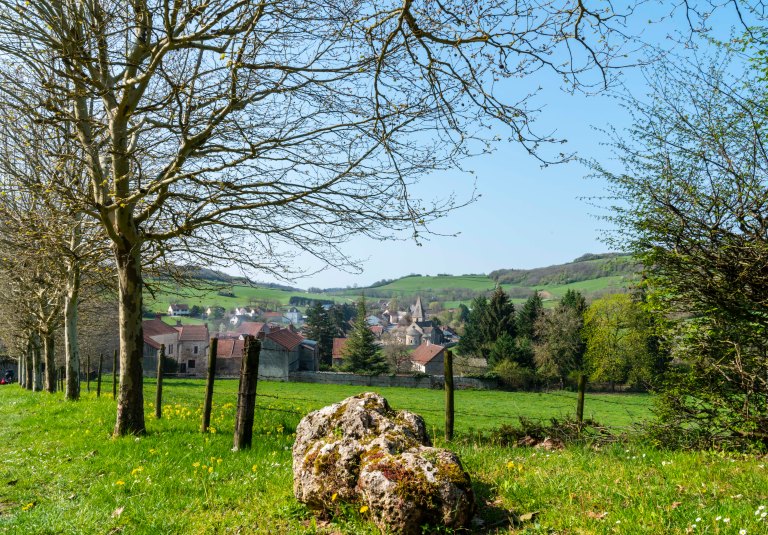 David BeckBeauneDSC04079