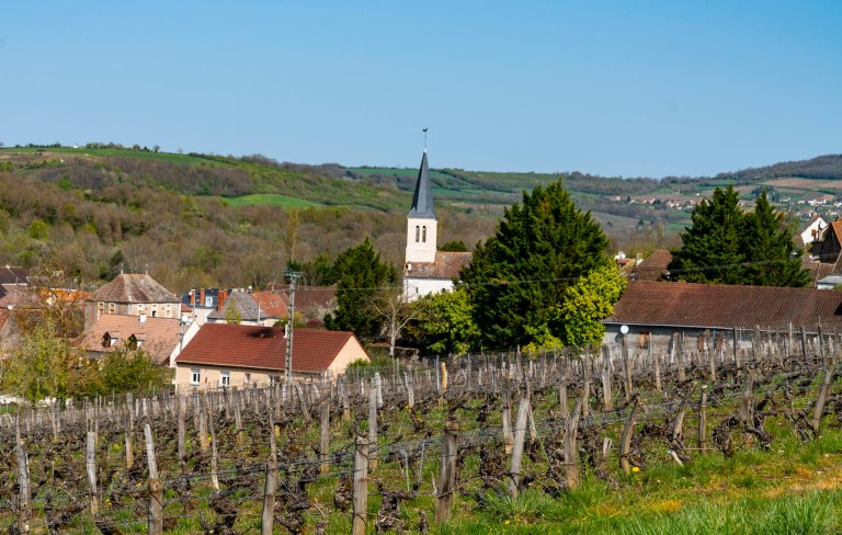 David BeckBeauneDSC04081