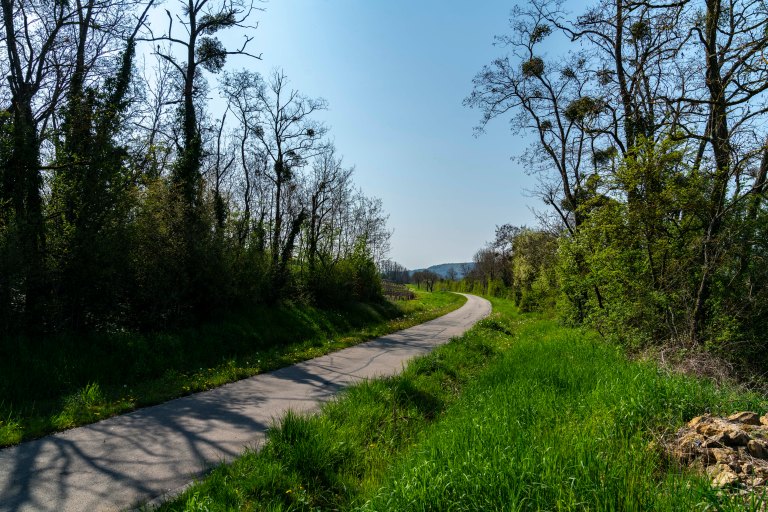 David BeckBeauneDSC04082