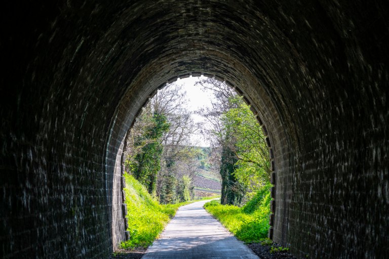 David BeckBeauneDSC04094