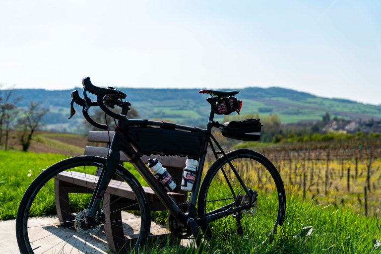 David BeckBeauneDSC04104