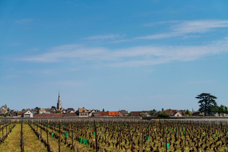 David BeckBeauneDSC04114