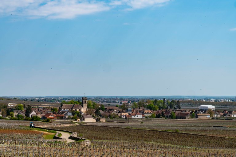 David BeckBeauneDSC04126