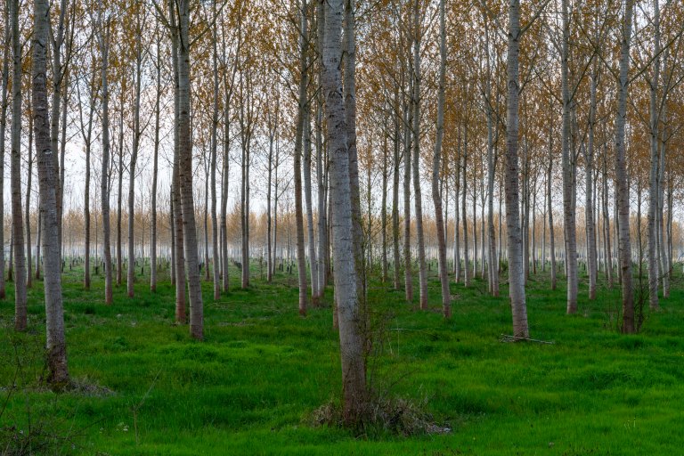 David BeckBesamcon to DijonDSC03725