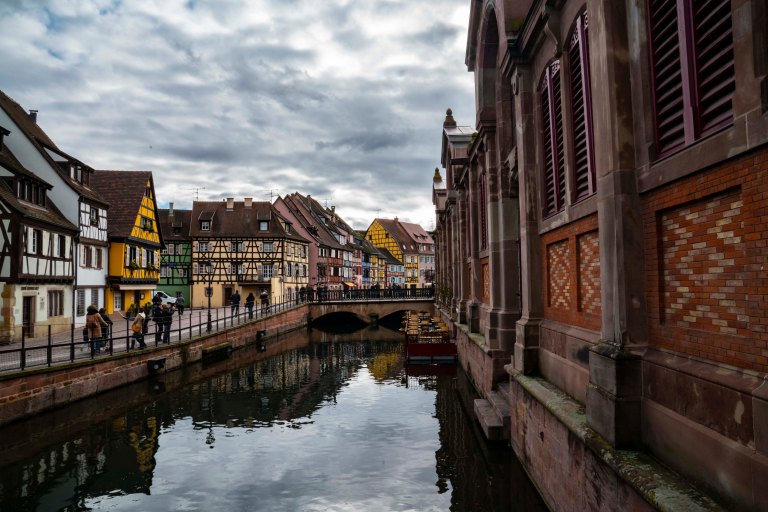 David BeckColmarDSC03483