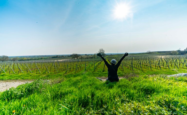 David BeckColmarDSC03491