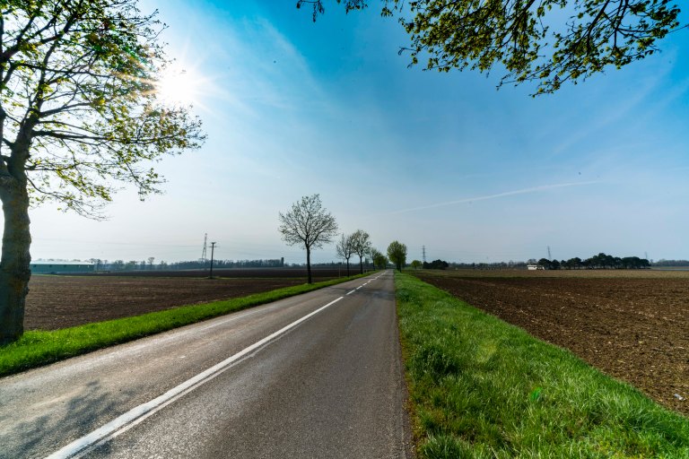 David BeckColmarDSC03494