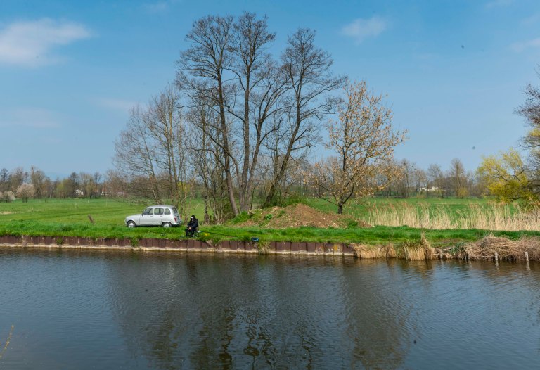 David BeckColmarDSC03520