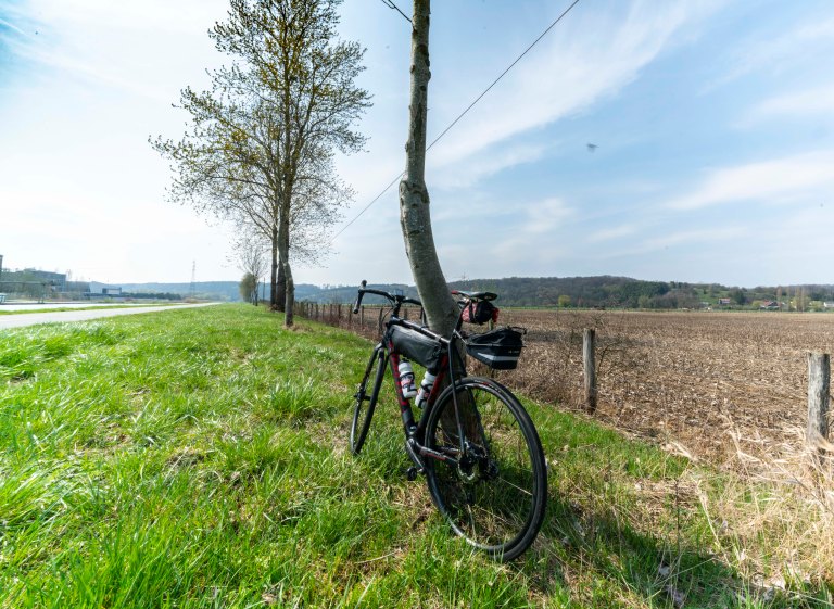 David BeckColmarDSC03544