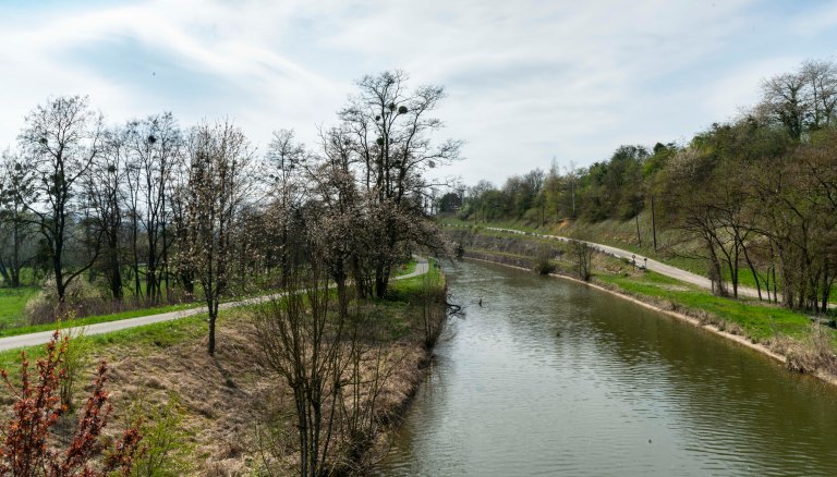 David BeckColmarDSC03555