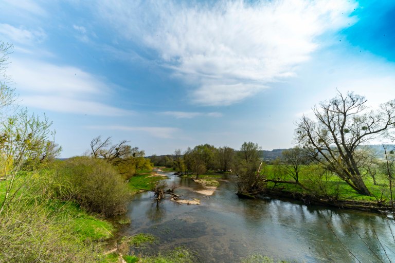 David BeckColmarDSC03557