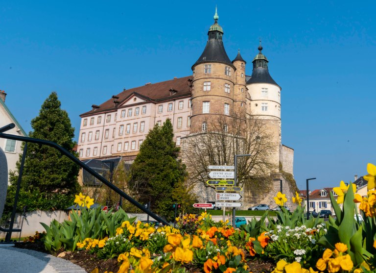 David BeckColmarDSC03580