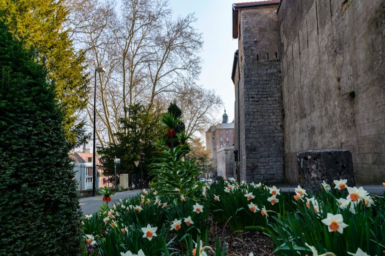 David BeckColmarDSC03588