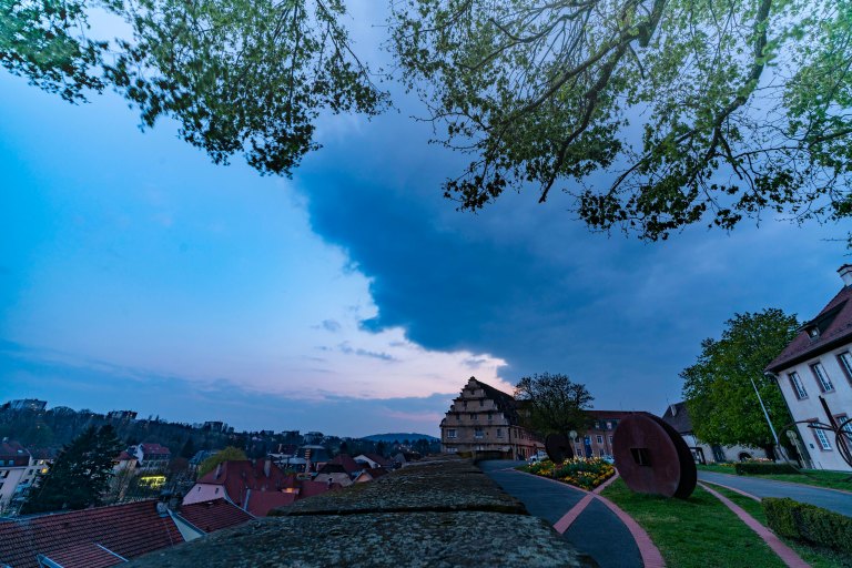 David BeckColmarDSC03616