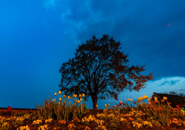 David BeckColmarDSC03626