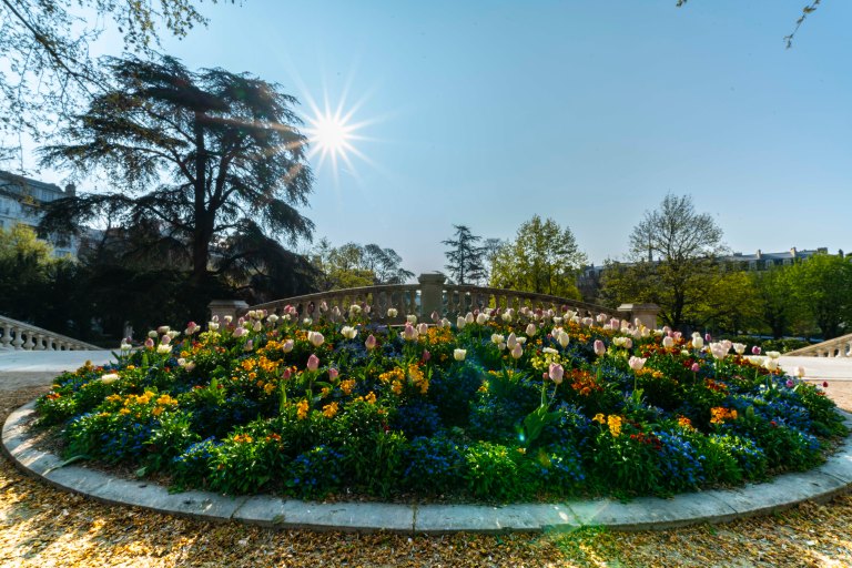 David BeckDijonDSC03791