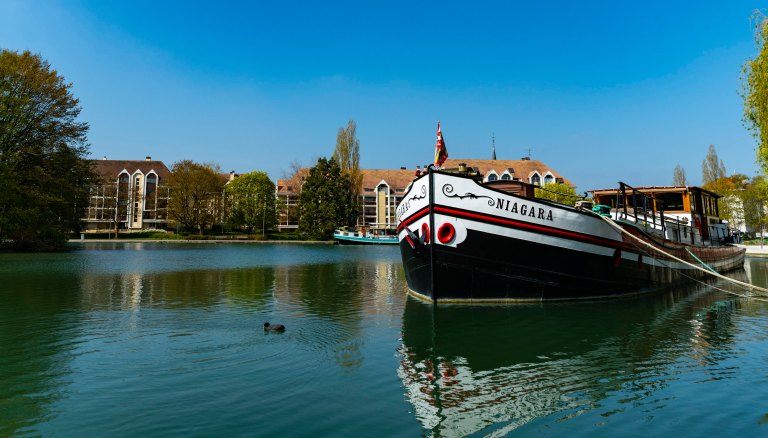 David BeckDijonDSC03815