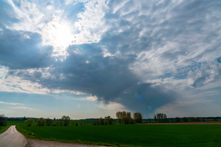 David BeckDoleDSC04157