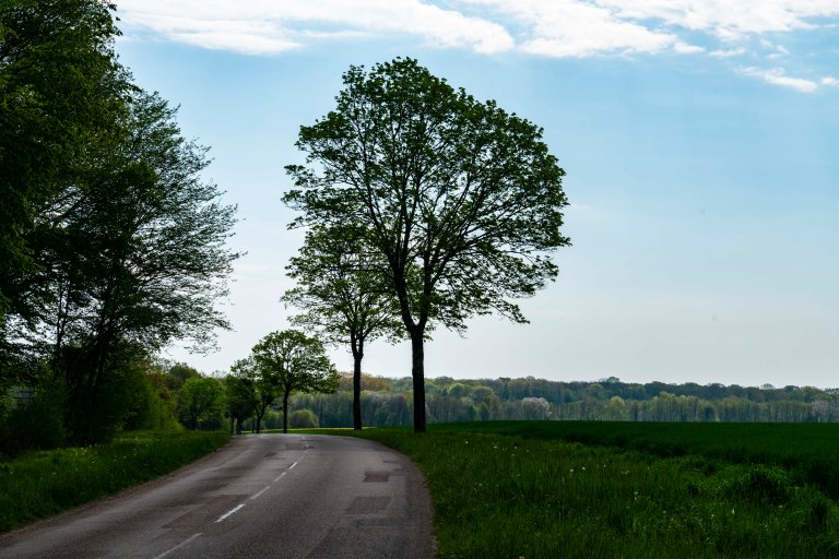 David BeckDoleDSC04167