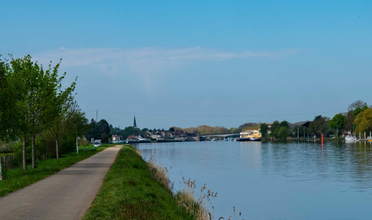 David BeckDoleDSC04189