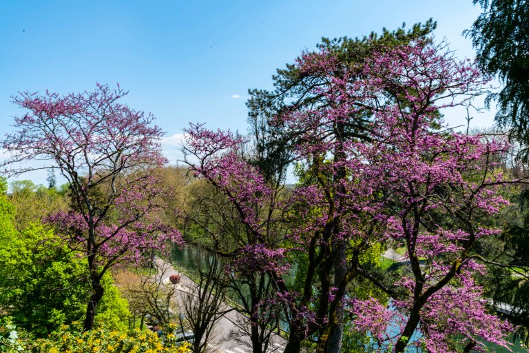 David BeckDoleDSC04194