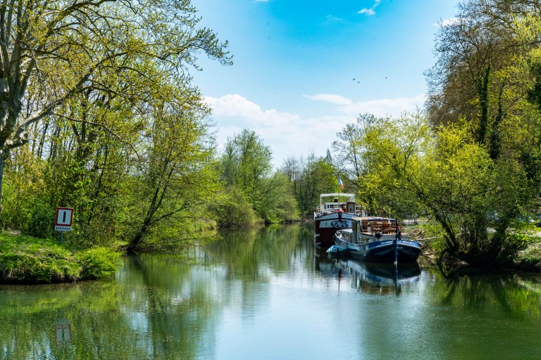 David BeckDoleDSC04196