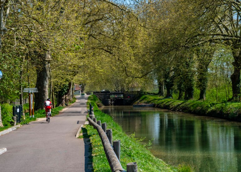 David BeckDoleDSC04197