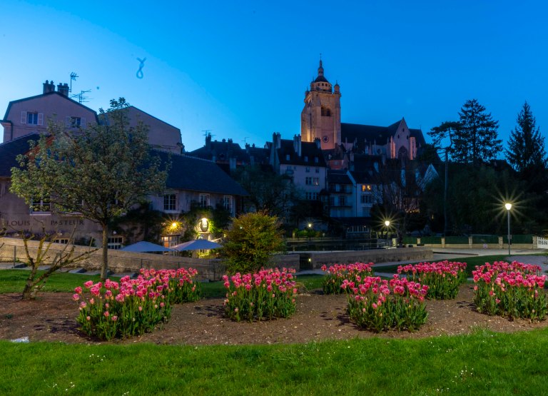 David BeckDoleDSC04248