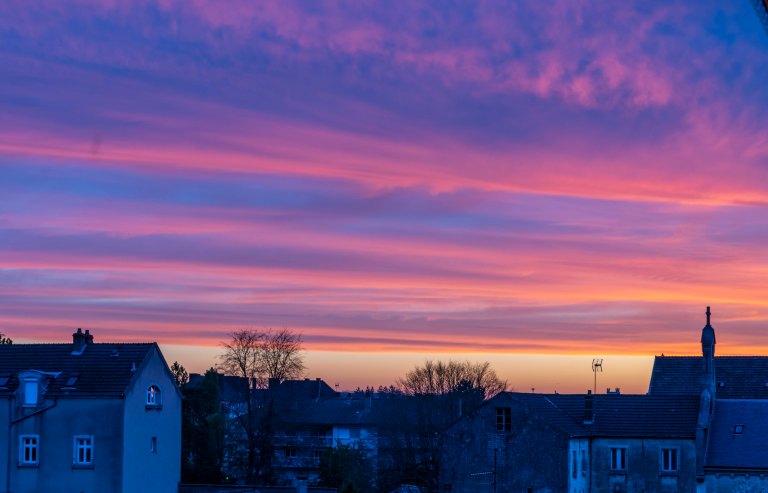 David BeckDoleDSC04257