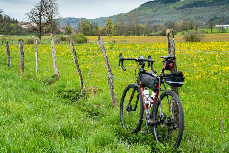 David BeckLons Le SaunierDSC04403