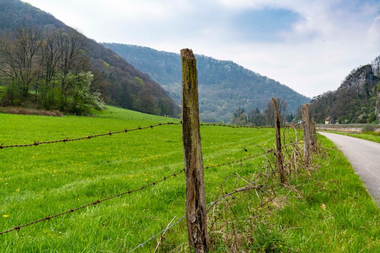 David BeckMontbeliardDSC03656