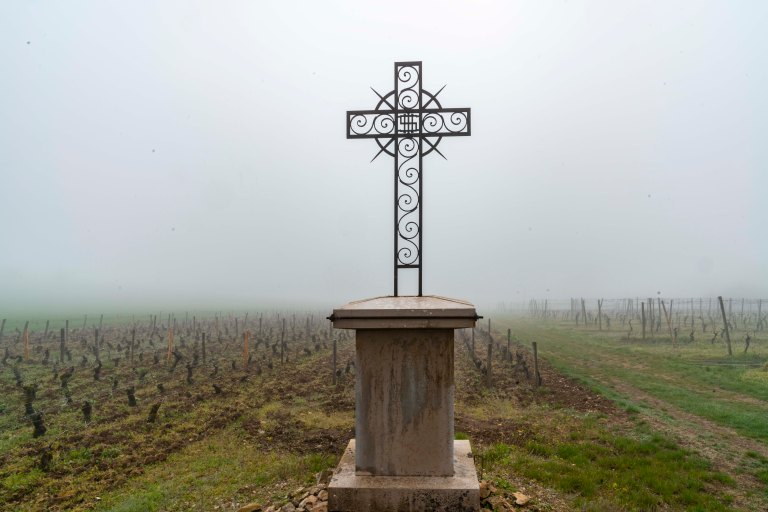 David BeckNuits-Saint-GeorgeDSC03873