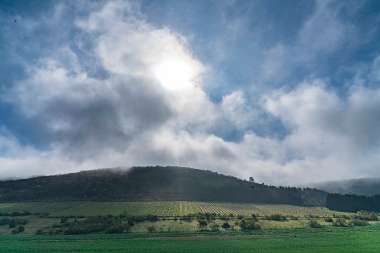 David BeckNuits-Saint-GeorgeDSC03884