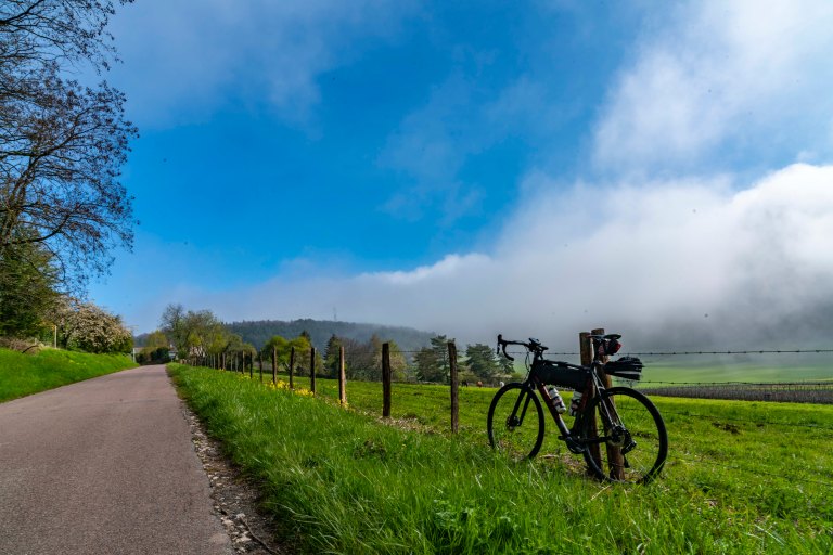 David BeckNuits-Saint-GeorgeDSC03890