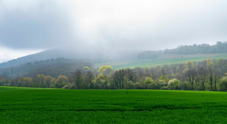 David BeckNuits-Saint-GeorgeDSC03916