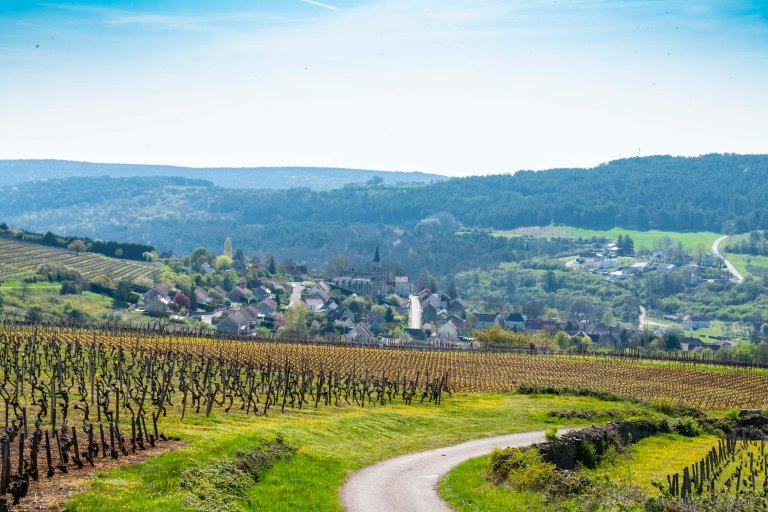 David BeckNuits-Saint-GeorgeDSC03983