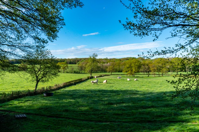 David BeckParay le monialDSC04422