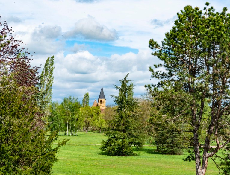 David BeckParay le monialDSC04471