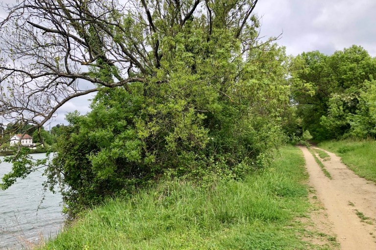 F1CE8947-1C42-4E5A-98B0-C15E2AD061DE